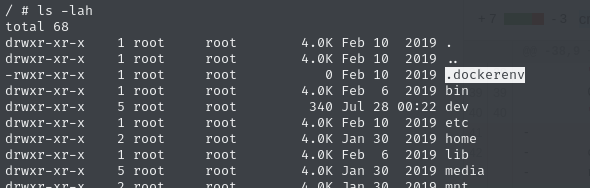 show-dockerenv-proof.png